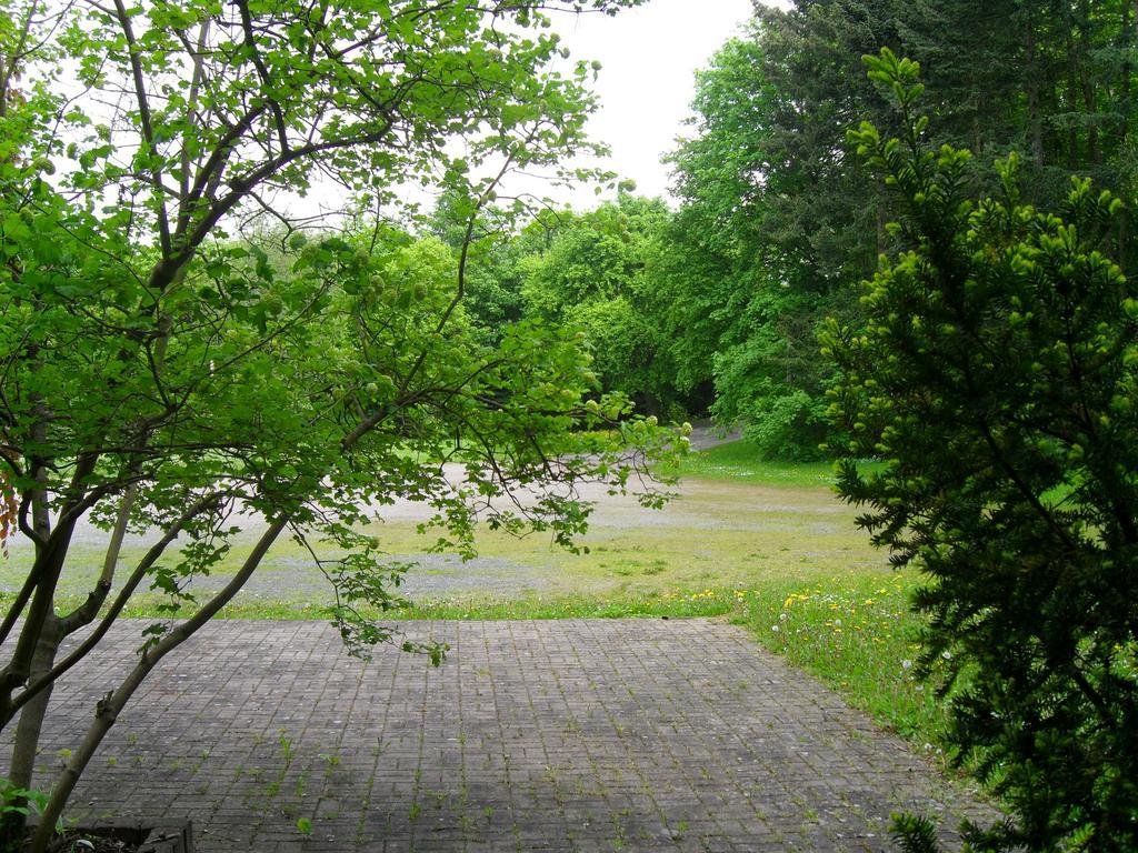 Motel Zur Festwiese Gierstädt Zewnętrze zdjęcie